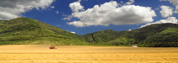 Vršac i Žitna polja Banata Photo-by-Vlada-Marinković