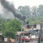 karton city gazela