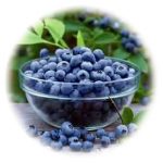 Borovnica je antioxidans broj 1 i najači prirodni antioksidans bolje od aronije