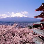 Mount Fuji & Cherry Blossoms at Japan Mount Fuji & Cherry Blossoms at Japan