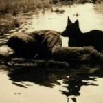 Stalker - scena iz filma
