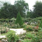 Bagatelle rose garden Paris France small part Bagatelle rose garden Paris France small part