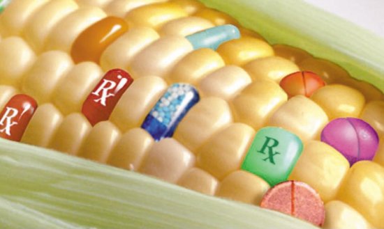 Genetski-modifikovani-organizmi-i-hrana-u-Srbiji-stop-GMO-lobiju.jpg