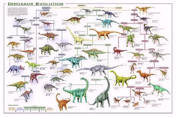 Evolucija dinosaurusa