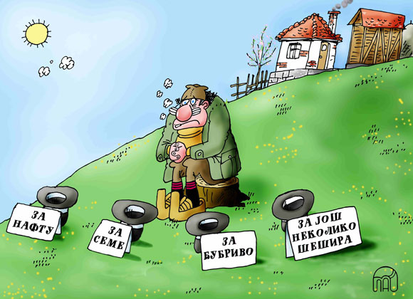 karikatura-slobodan-srdic-sesiri