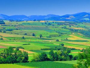 sumadija-njive-i-polja-landscape