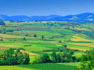 sumadija-njive-i-polja-landscape sumadija-njive-i-polja-landscape