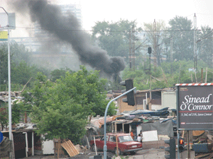 karton city gazela