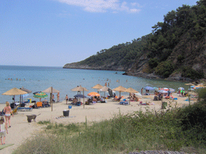 tasos plaza paradiso 2