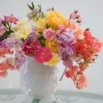 Buket cveća Buket cveća