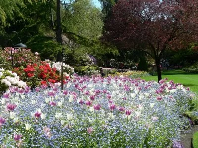 rajska bašta Butcharts Gardens perene rajska bašta Butcharts Gardens perene
