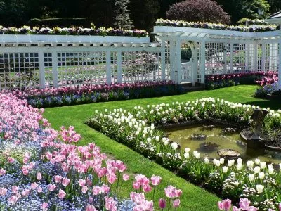 Raj na zemlji - rajska bašta Butcharts Gardens francuski vrt Raj na zemlji - rajska bašta Butcharts Gardens francuski vrt