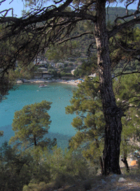 aliki plaza tasos 2
