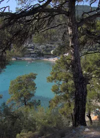 aliki plaza tasos 2 aliki plaza tasos 2