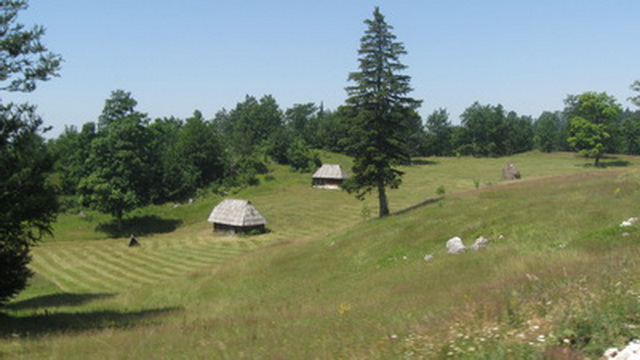 Kolibe na Tari