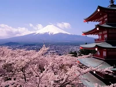 Mount Fuji & Cherry Blossoms at Japan Mount Fuji & Cherry Blossoms at Japan