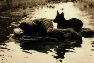 Stalker - scena iz filma