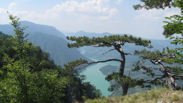 Vidikovac Banjska stena Planina Tara i Zaovine by Zlatko Šćepanović