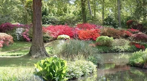 exbury-gardens-england exbury-gardens-england