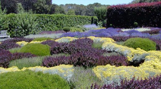 filoli-gardens