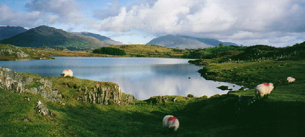 Connemara Irska Irski jezik, Irci i Englezi 