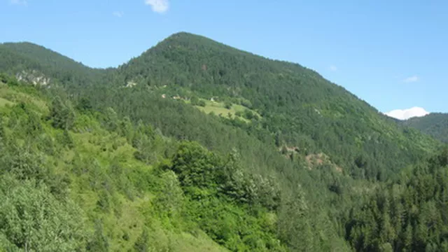 Gornji Graovac - hajducka koliba - planina Tara Gornji Graovac - hajducka koliba - planina Tara