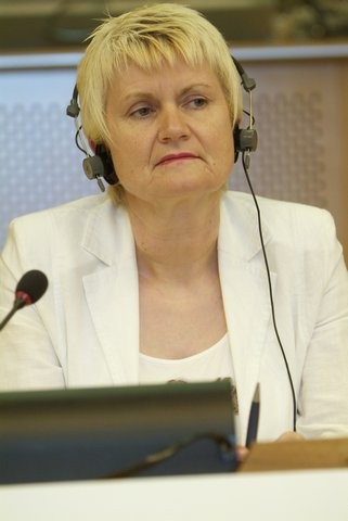 Marian Harkin Irski jezik, Irci i Englezi 
