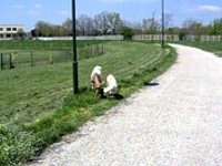 Mašine za šišanje trave u Sportskom centru
