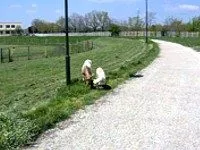 Mašine za šišanje trave u Sportskom centru Mašine za šišanje trave u Sportskom centru