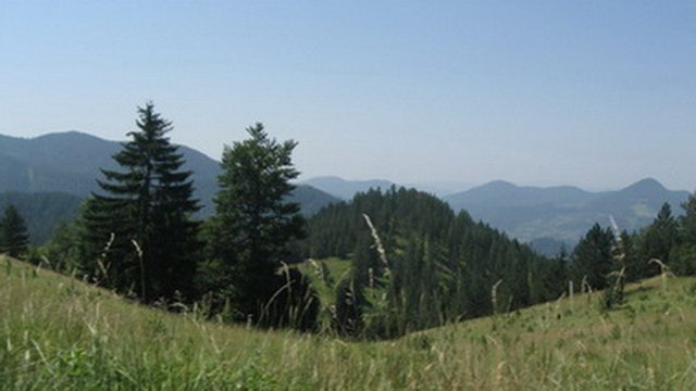 Pogled sa Zmajevca  - planina Tara