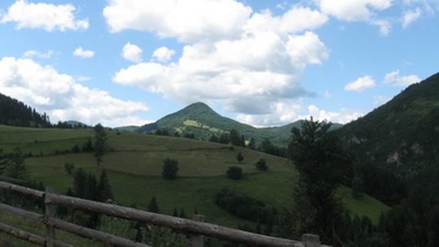 Vrh Parsan  - planina Tara