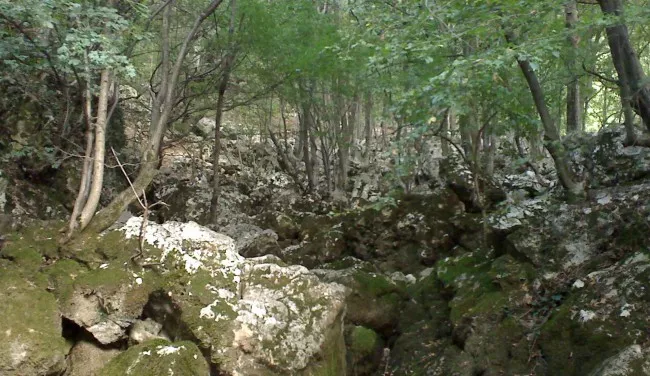 Lisine - ambijent oko vrela Lisine - ambijent oko vrela