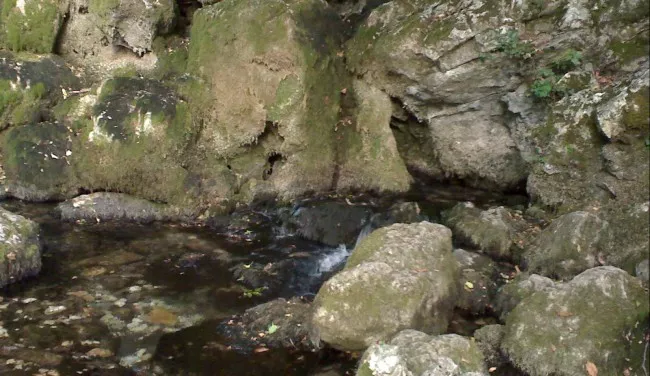 Lisine - samo tamno vrelo Lisine - samo tamno vrelo