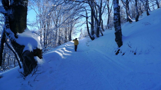 Put od Motela do ski staze Babin zub i skijanje na staroj planini