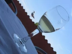 Ledena rakija od meda, Istra (foto: AG)