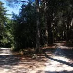 Rovinj, Punta corente (foto: AG)