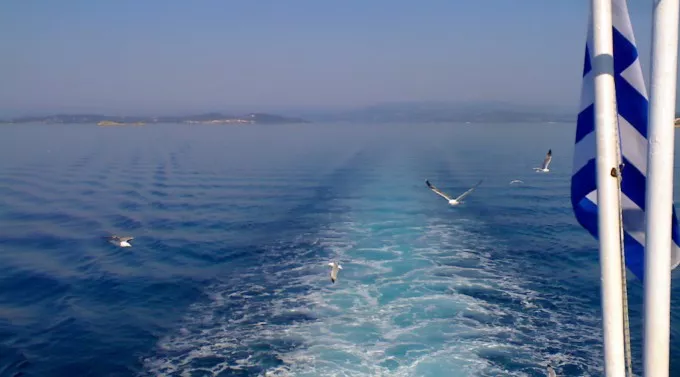 Galebovi vas prate do puta na Svetu Goru