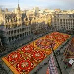 Brussels-Flower-Carpet