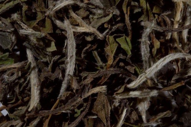 Beli kineski caj White chinese paeony tea