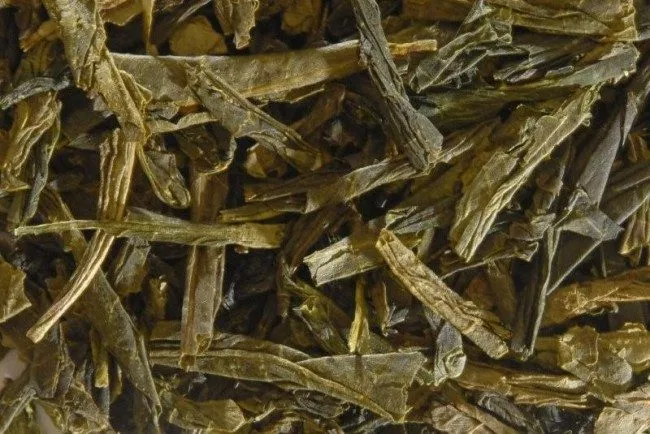 bancha tea banča čaj zeleni caj biljka čaj bancha tea banča čaj zeleni caj biljka čaj