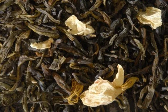 caj od jasmina zeleni caj biljka čaj caj od jasmina zeleni caj biljka čaj