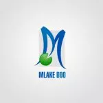 1 - Milan Vraneš design