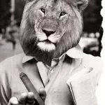 Lion - by Dubravka Milošević