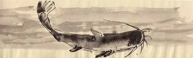 Som - drawing by Željko Komosar taoizam i pravoslavlje Som - drawing by Željko Komosar taoizam i pravoslavlje