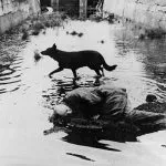 Stalker - scena iz filma Andrej Tarkovski Stalker - scena iz filma Andrej Tarkovski