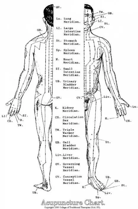 Kineska medicina i 12 akupunkturnih meridijana simptomi bolesti Kineska medicina i 12 akupunkturnih meridijana simptomi bolesti