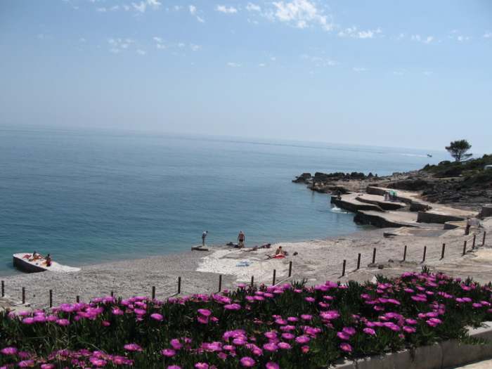 Kornjača plaža px3 kuka gore