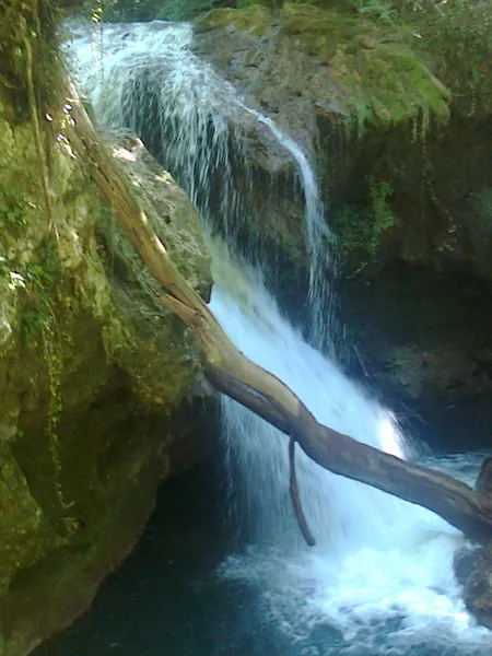 Nacionalni park Nera-Rumunija slapovi i drvo