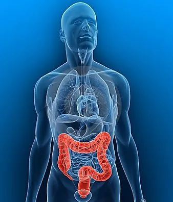 Sindrom iritabilni kolon nervozna creva lečenje lekovi terapija Sindrom iritabilni kolon nervozna creva lečenje lekovi terapija