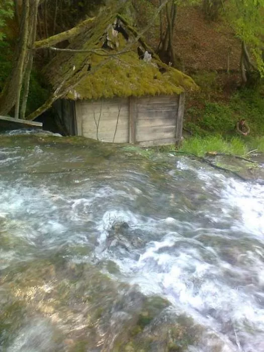 Taor, Povlen,Jablanik, Medvednik 026